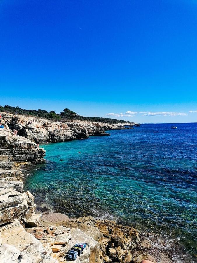 Villa Victoria Istra Nova Vas  Esterno foto